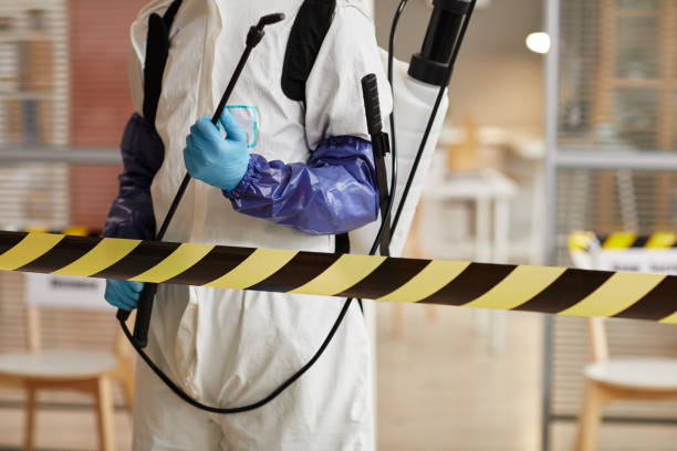 Professional Hoarding Cleanup technician working in Colchester, IL