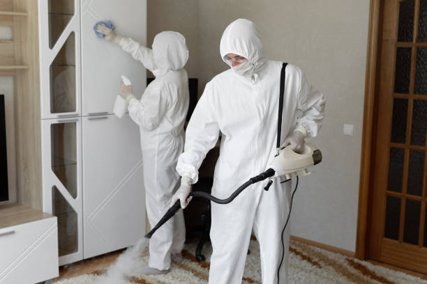 Trusted Sewage Cleanup service in Colchester, IL - Four Month Blood Cleanse